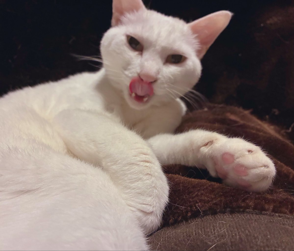 \\可愛く撮って📷🤍//