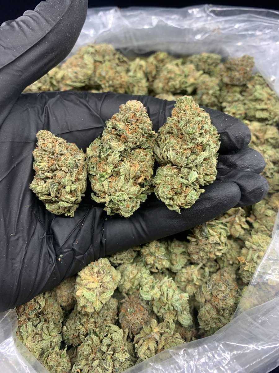 Smartweed🍃👻 tweet media