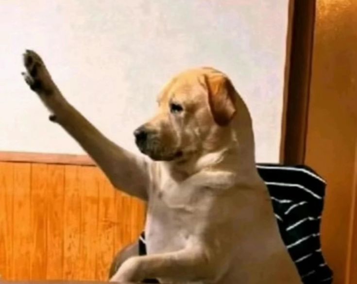 𝐀𝐠𝐚 tweet media