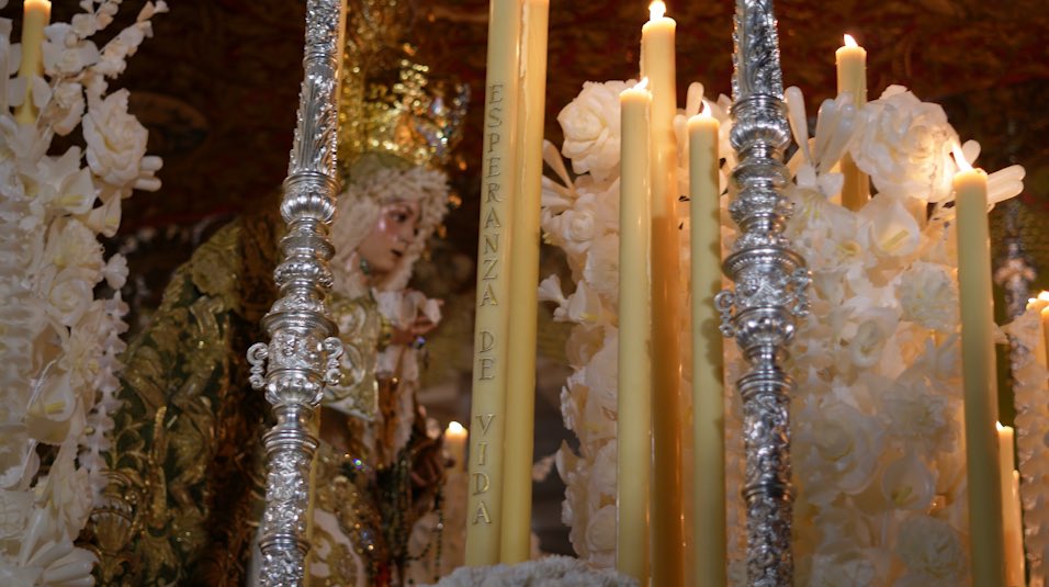 JiroIrene's tweet photo. Pasa la Virgen Macarena…
Pasa el @CarmenDSalteras 🤎 https://t.co/LrtEZoz6gx