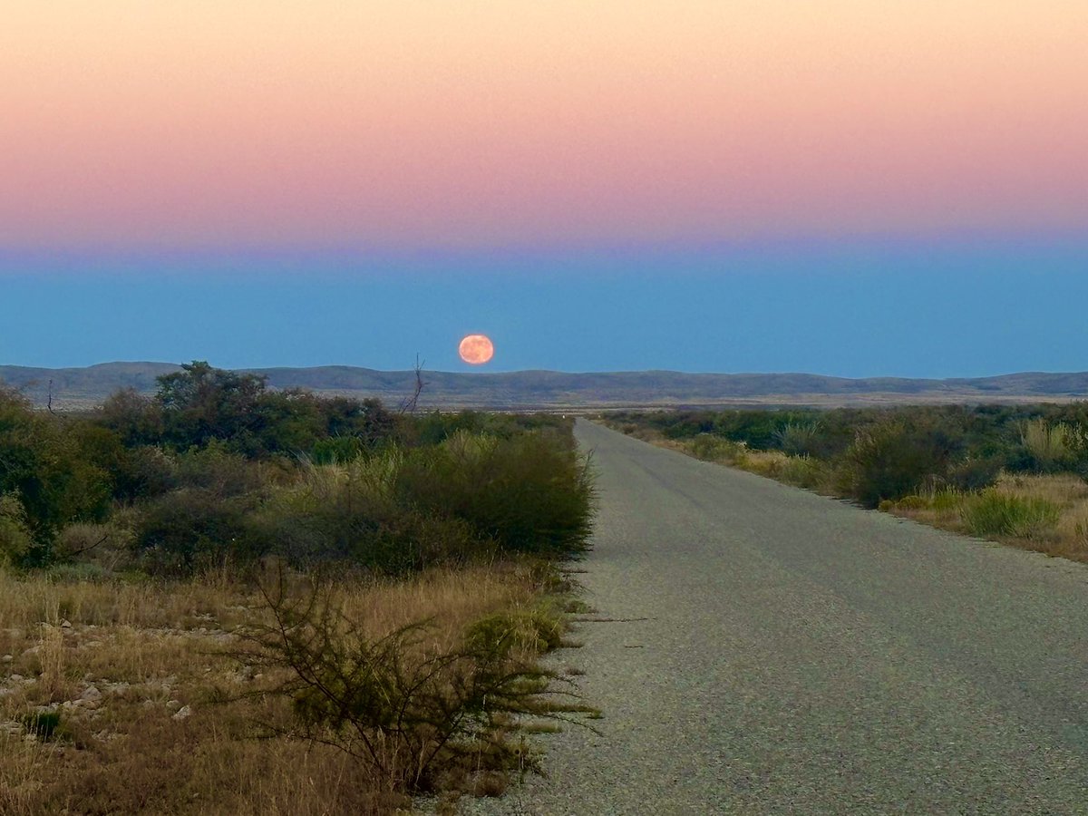 Earthship Danu tweet media