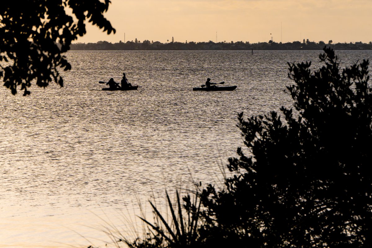 Chris Shaw tweet media