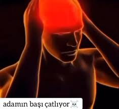 Sekülerfobi Detected tweet media