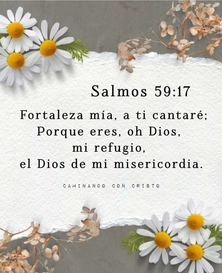 Aldonsa Vargas🙏💙🇩🇴🇮🇱 (@aldonsavargas) on Twitter photo 