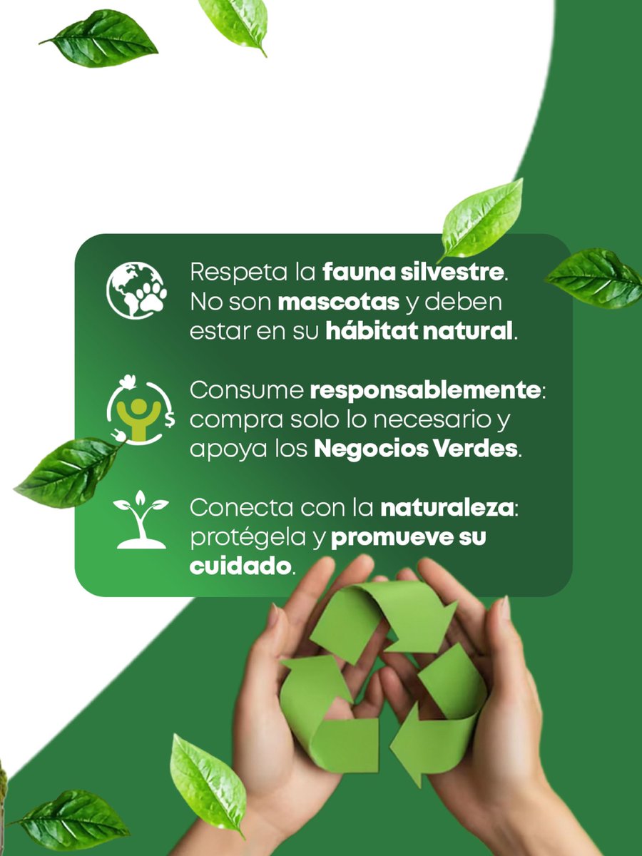 Gobernación de Santander tweet media