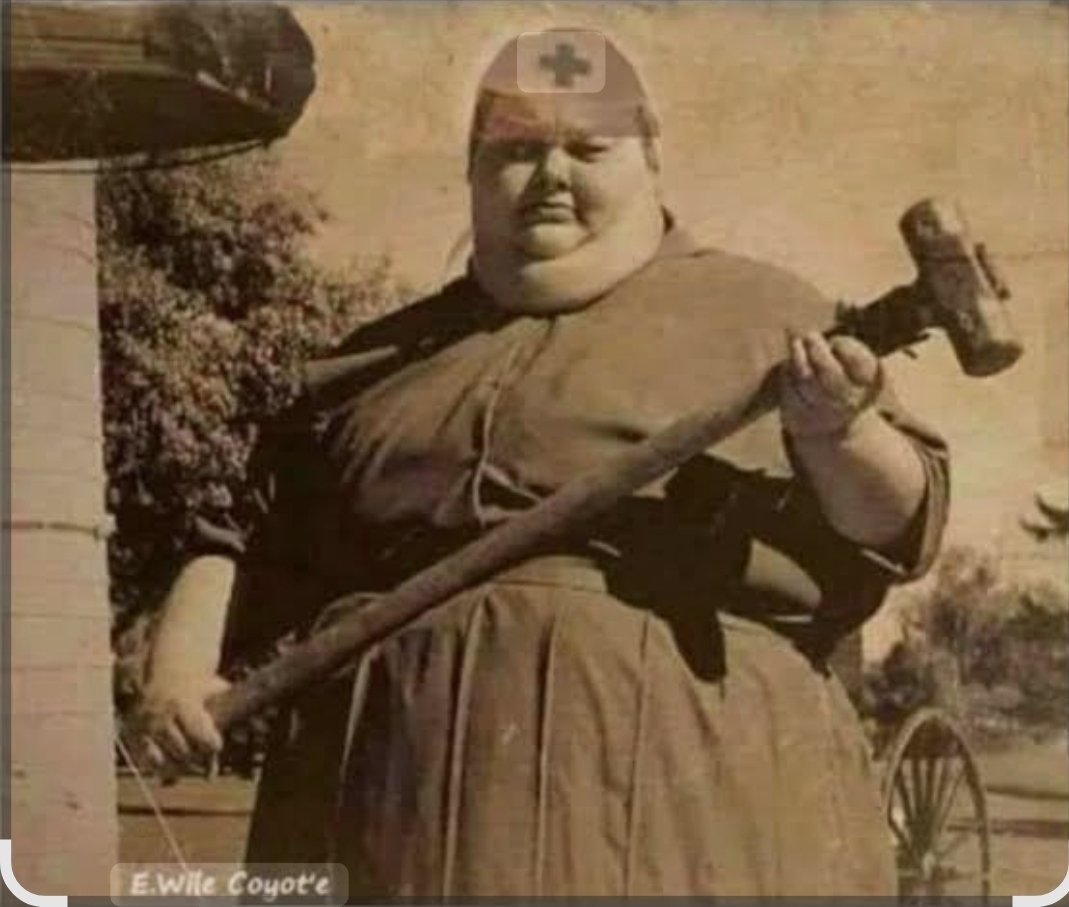 alba blustein tweet media