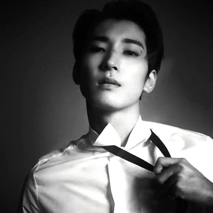 🐈‍⬛ (@meowswonwoo) on Twitter photo 