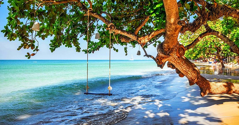 tropicalitytips's tweet image. Pic of the Night…Swinging 🏝️ 
tropicality.com 
#beachday #beachlife #beach