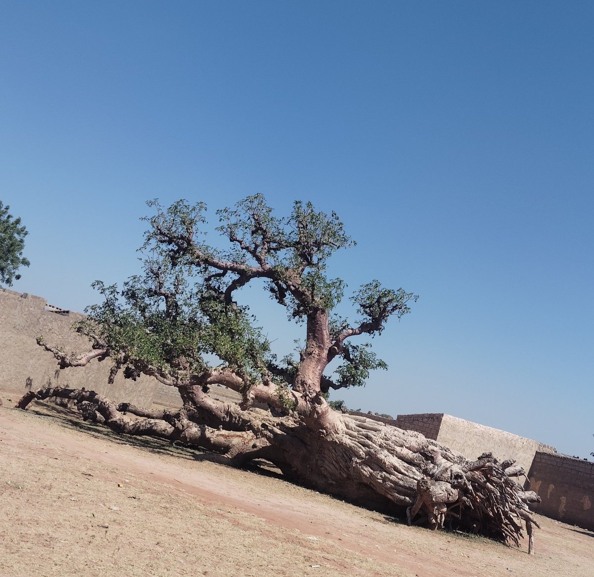 Anonymous San👽🇳🇬🇯🇵 tweet media