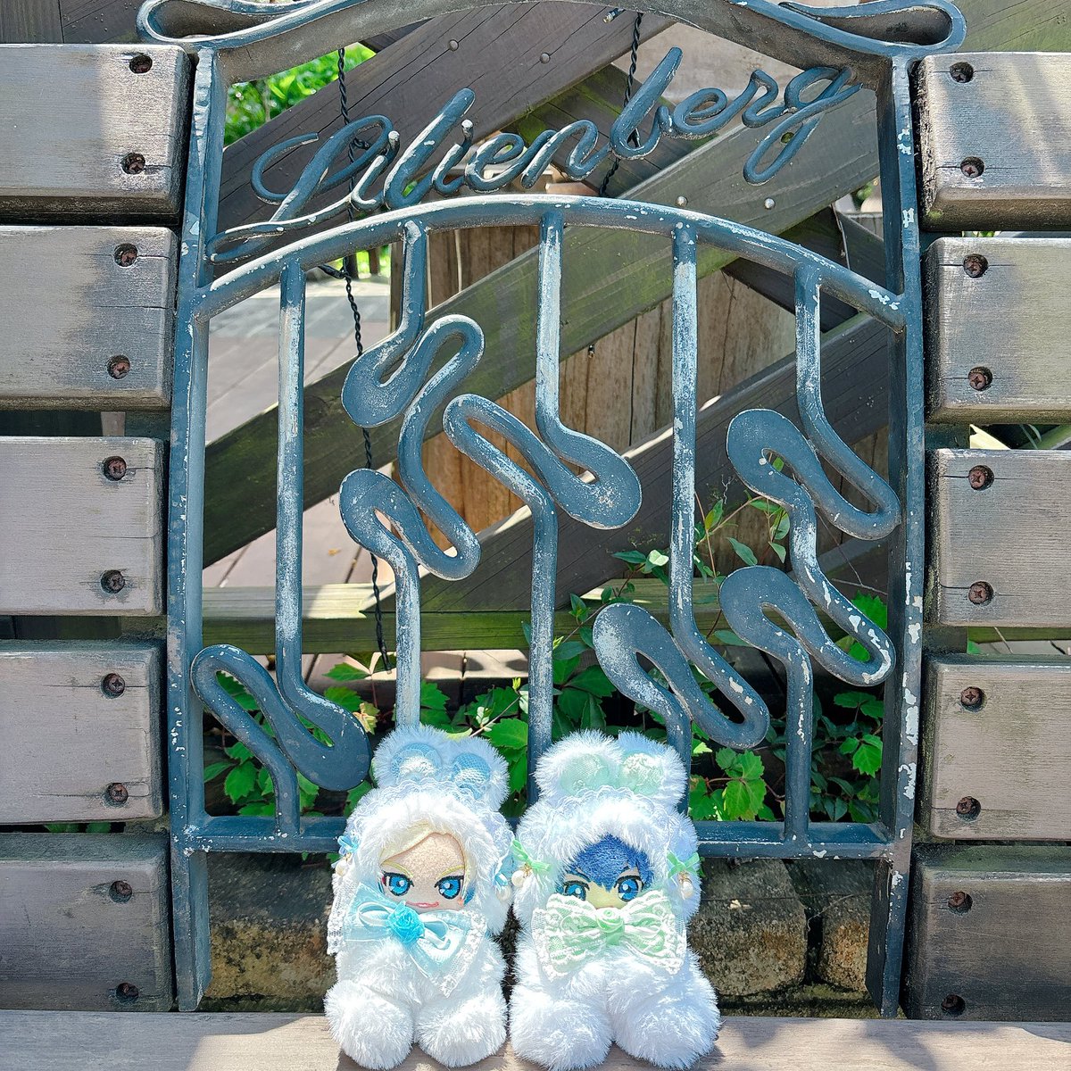 より🧸ྀི5/6西1タ48a tweet media