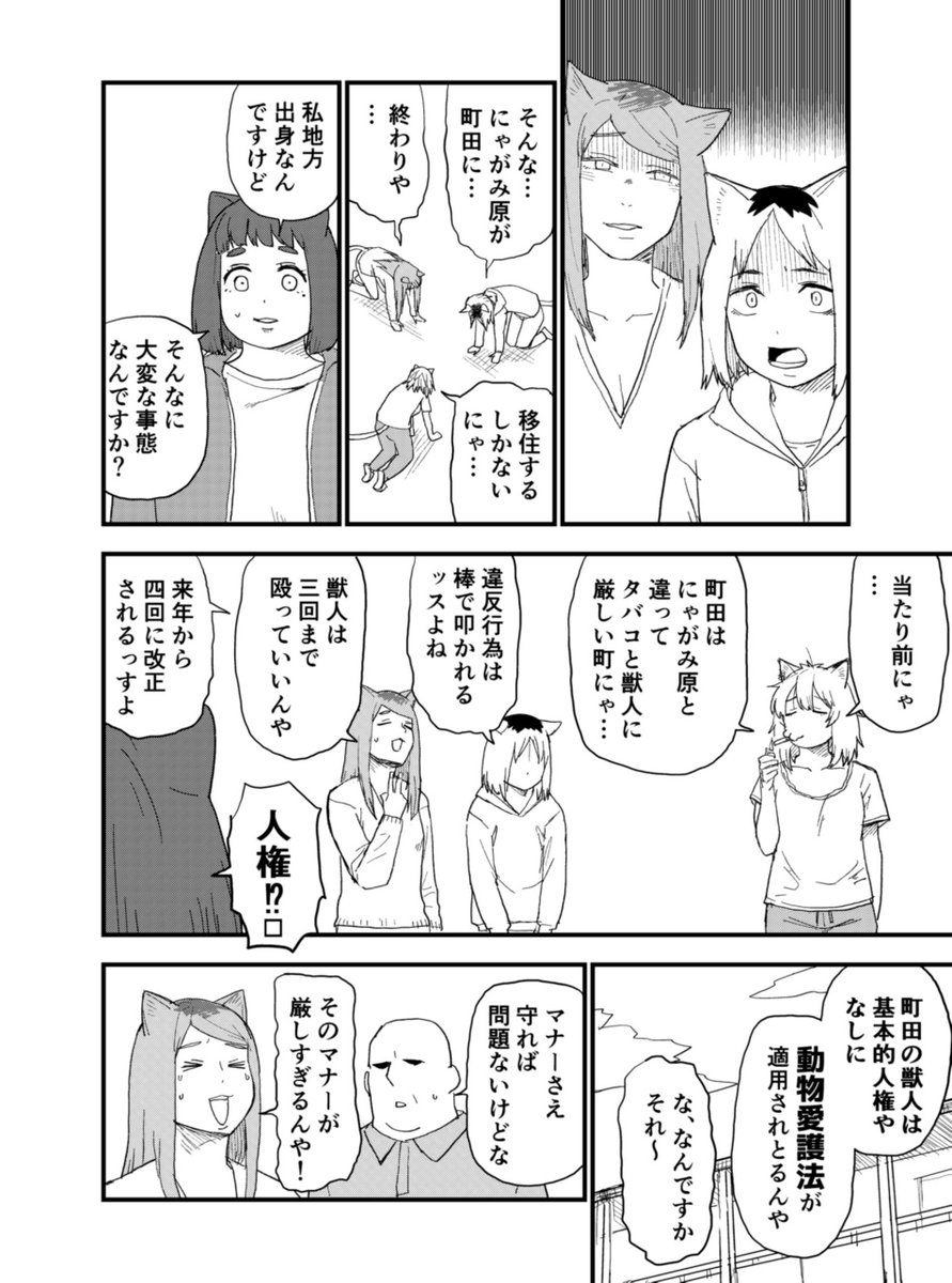 ヤニねこ tweet media