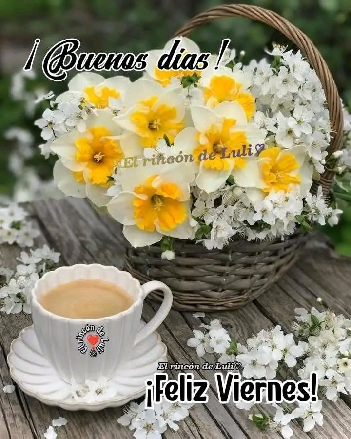 🇦🇷♥ Marcela ⭐⭐⭐ tweet media