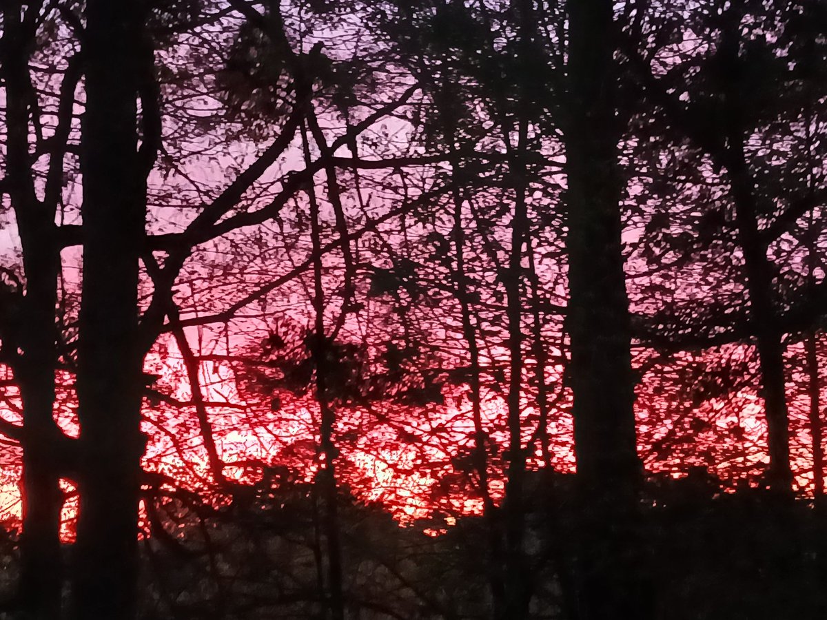 Plain•Jane•Doe tweet media