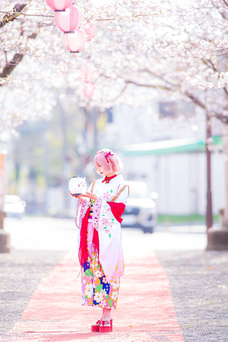 ❅わんこ系ぬこ❅ tweet media