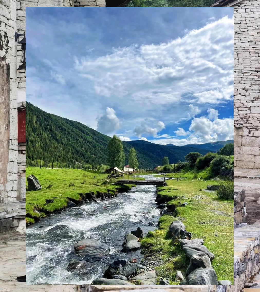 Jim Tucker tweet media