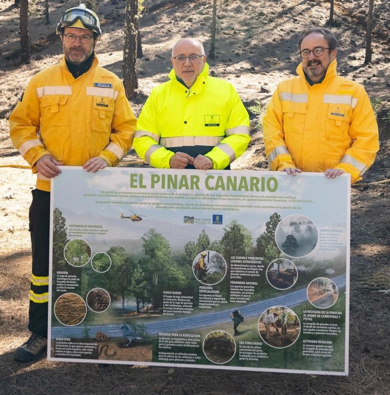 Pedro Suárez tweet media
