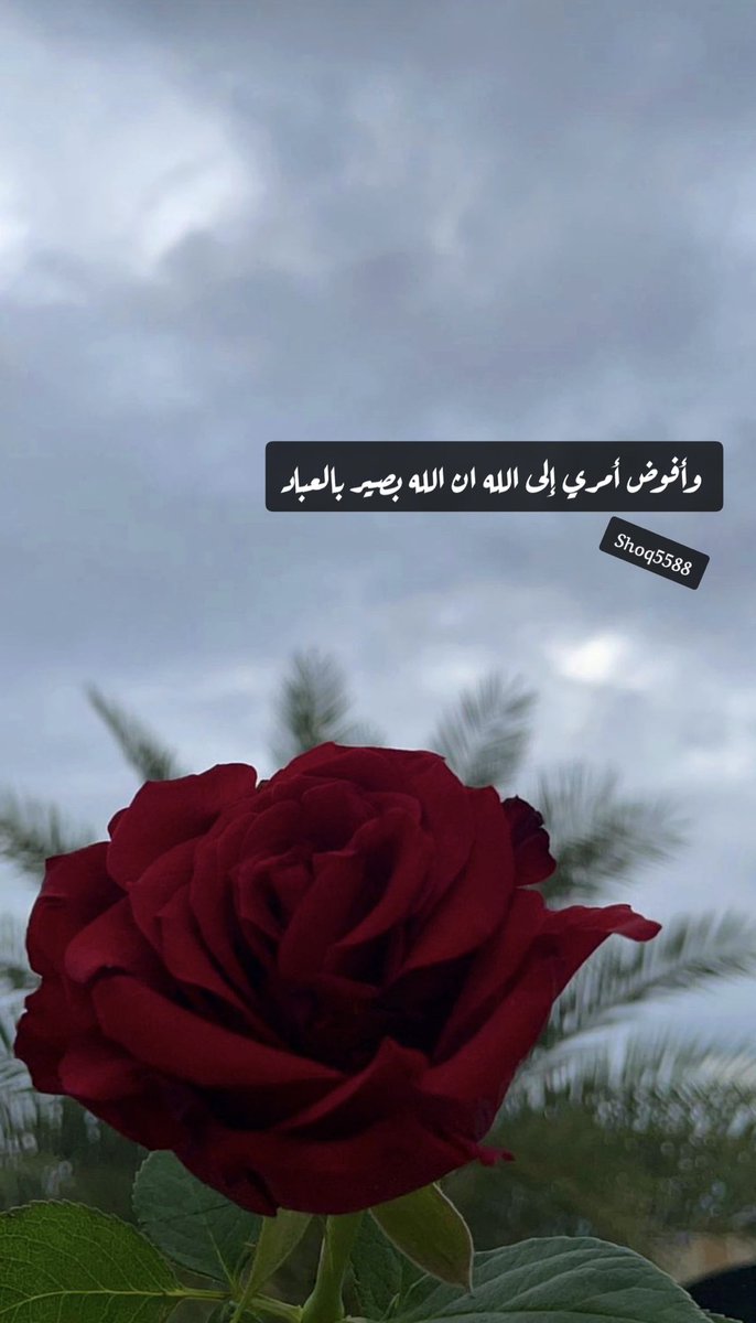 اللهم هبّ لنـا بركة لاتـزول وخيراً لاينقطع وحياةً طيبة ودعوة مستجابه وارزقـنا محبتكـ وعفوكـ ومغفرتكـ يارب العالمين 
#صلوا_عليه_وسلموا_تسليما_صلى 
 #ساعه_استجابة