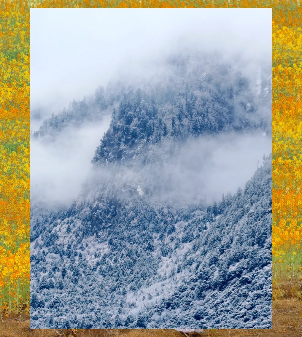 Mike West tweet media