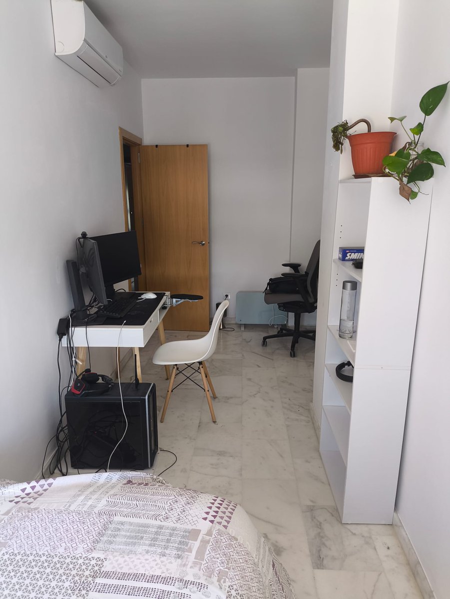 rata panqueque tweet media