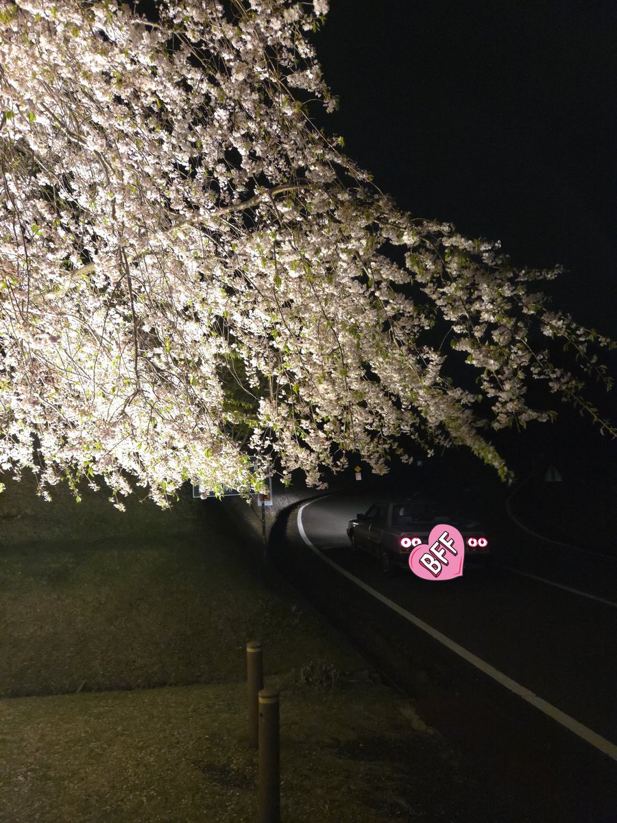 ドゥマ🍀︎ tweet media