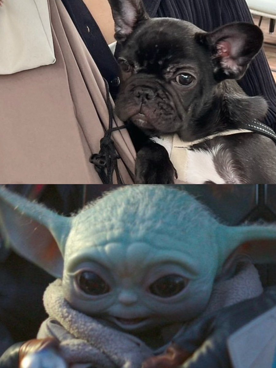 まこと®️ tweet media