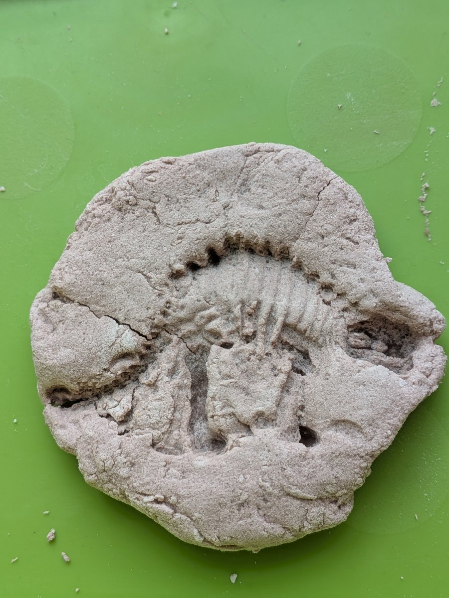 EyfsOlol's tweet photo. Reception stepped into Mary Anning’s shoes this week! After learning about fossils, we created our own using dinosaur skeleton imprints. Our little palaeontologists were amazing. 🦖 #ScienceOLOL @ololprimary_HT #makeadifference https://t.co/SmBbSoisvv