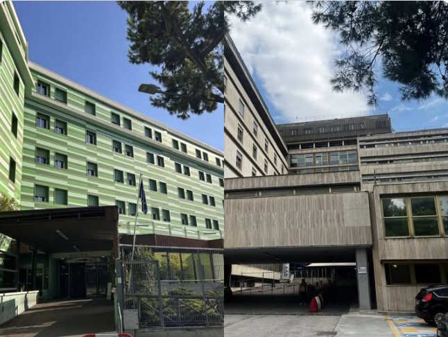 Il Mascalzone tweet media