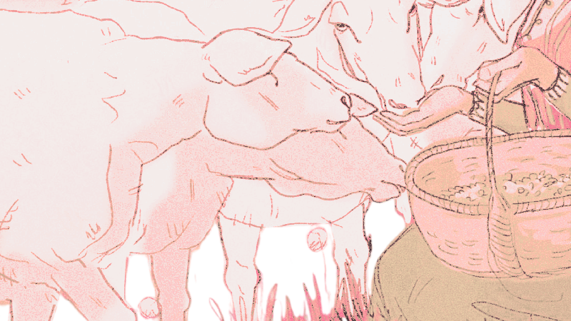 𝐁EWERE THE SHEPHERDESS tweet media