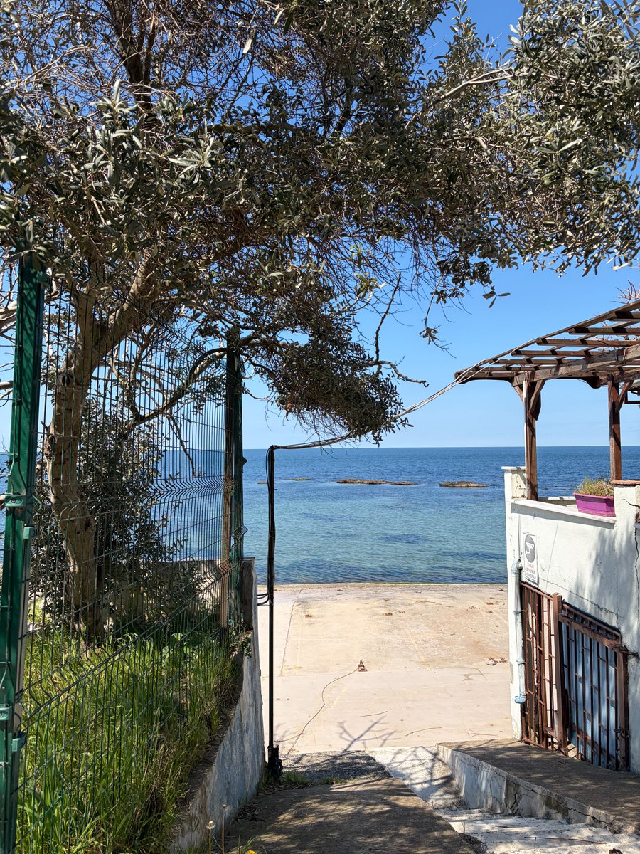 Emir Ayaz tweet media