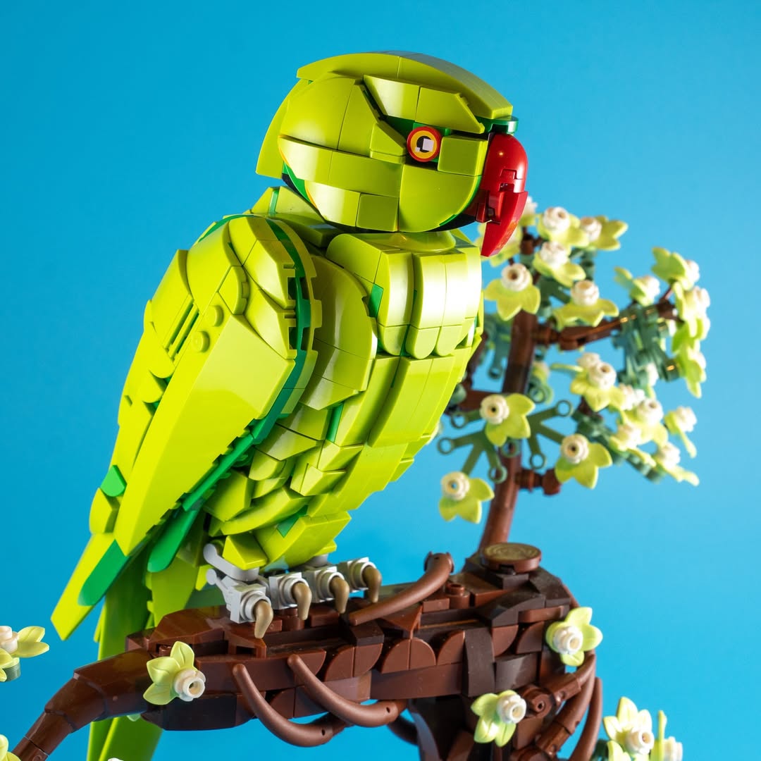 lgmbricks's tweet image. Lego Bird Moc Design

Please follow 
credit skabram.builds | Instagram
.
.
Please follow for new sets and news.
👉 instagram.com/lgm.bricks
#Lego #Moc #legobirds