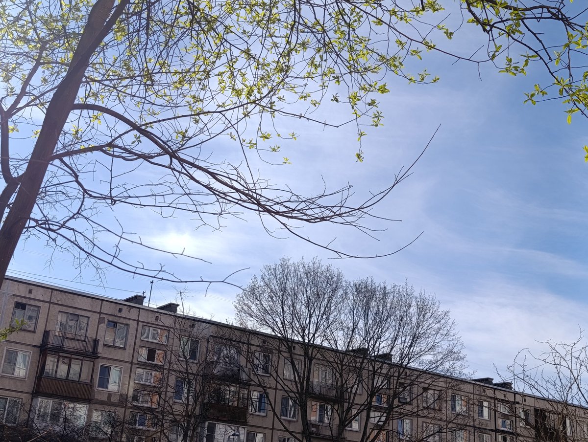 Осенний Лис 🦊🏴‍☠️ tweet media