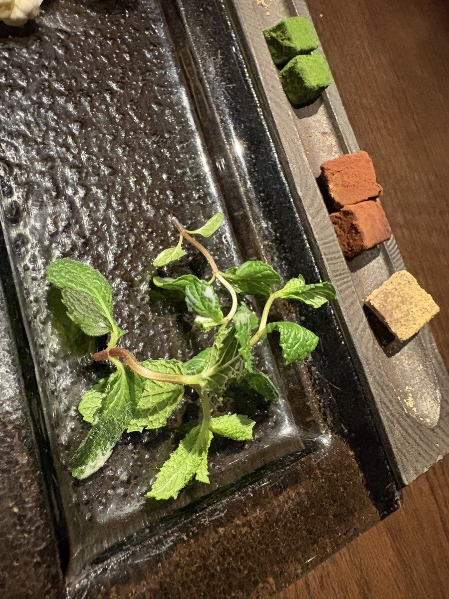 未來@5/9奉還町りぶらSHOCK#7 tweet media