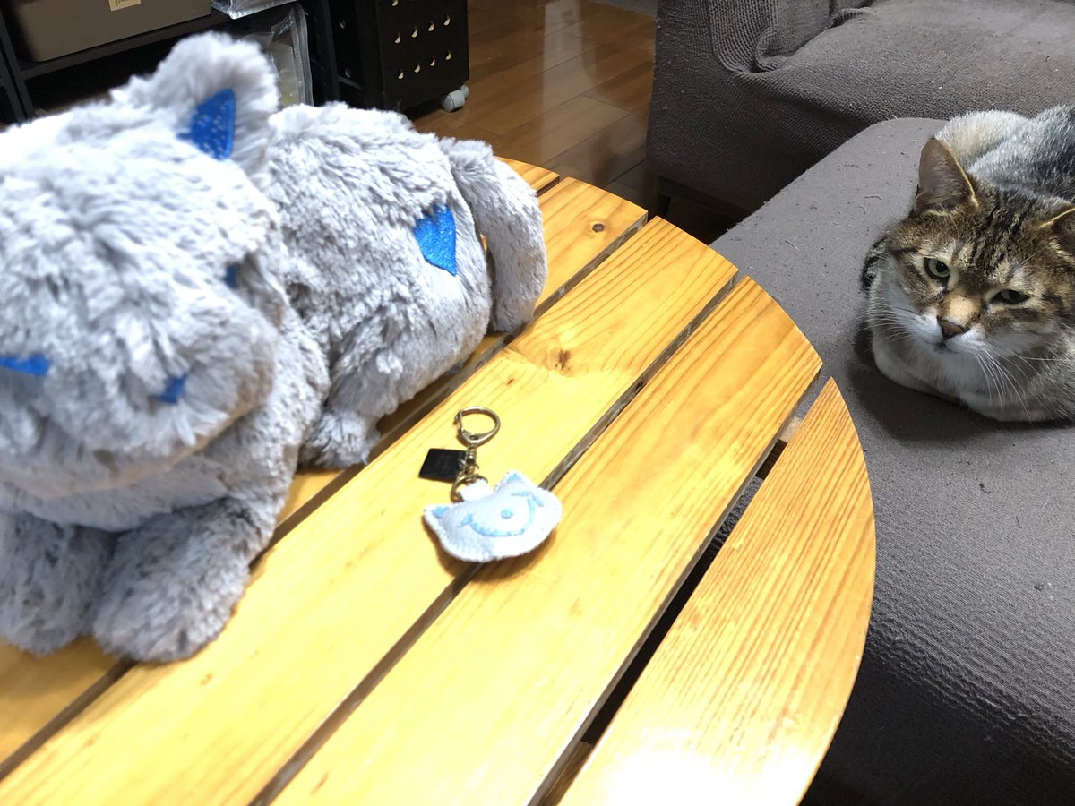 cacochin（かこちん） tweet media