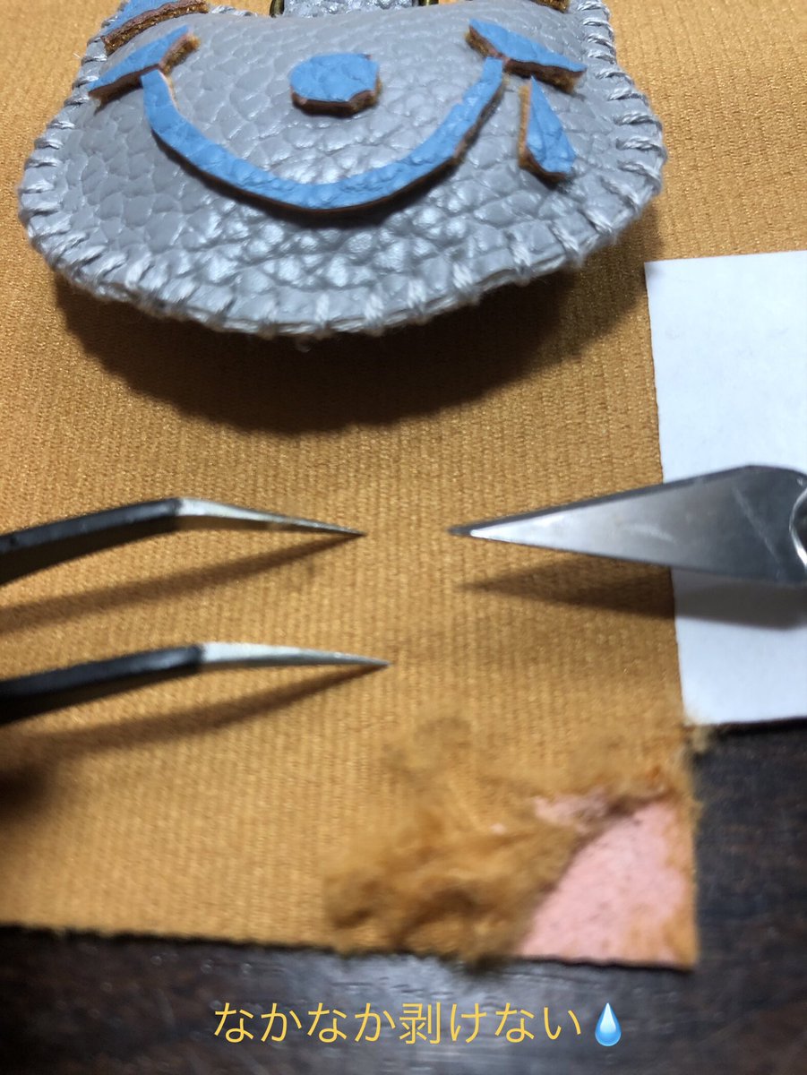 cacochin（かこちん） tweet media