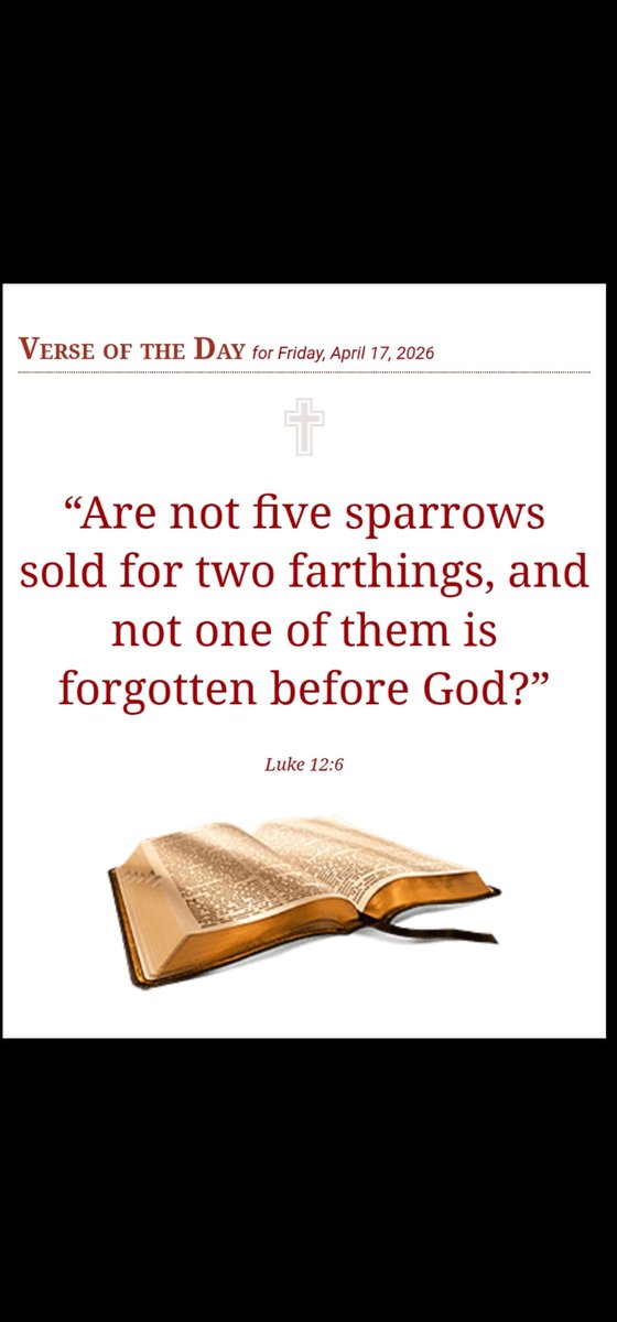 Cairnlodge1's tweet image. Verse of the Day
For Friday, 17th April, 2026.

#Luke 12:6
“Are not five sparrows sold for two farthings, and not one of them is forgotten before God?” 👑

#KingJamesVersion #KJV #AuthorisedVersion #AV