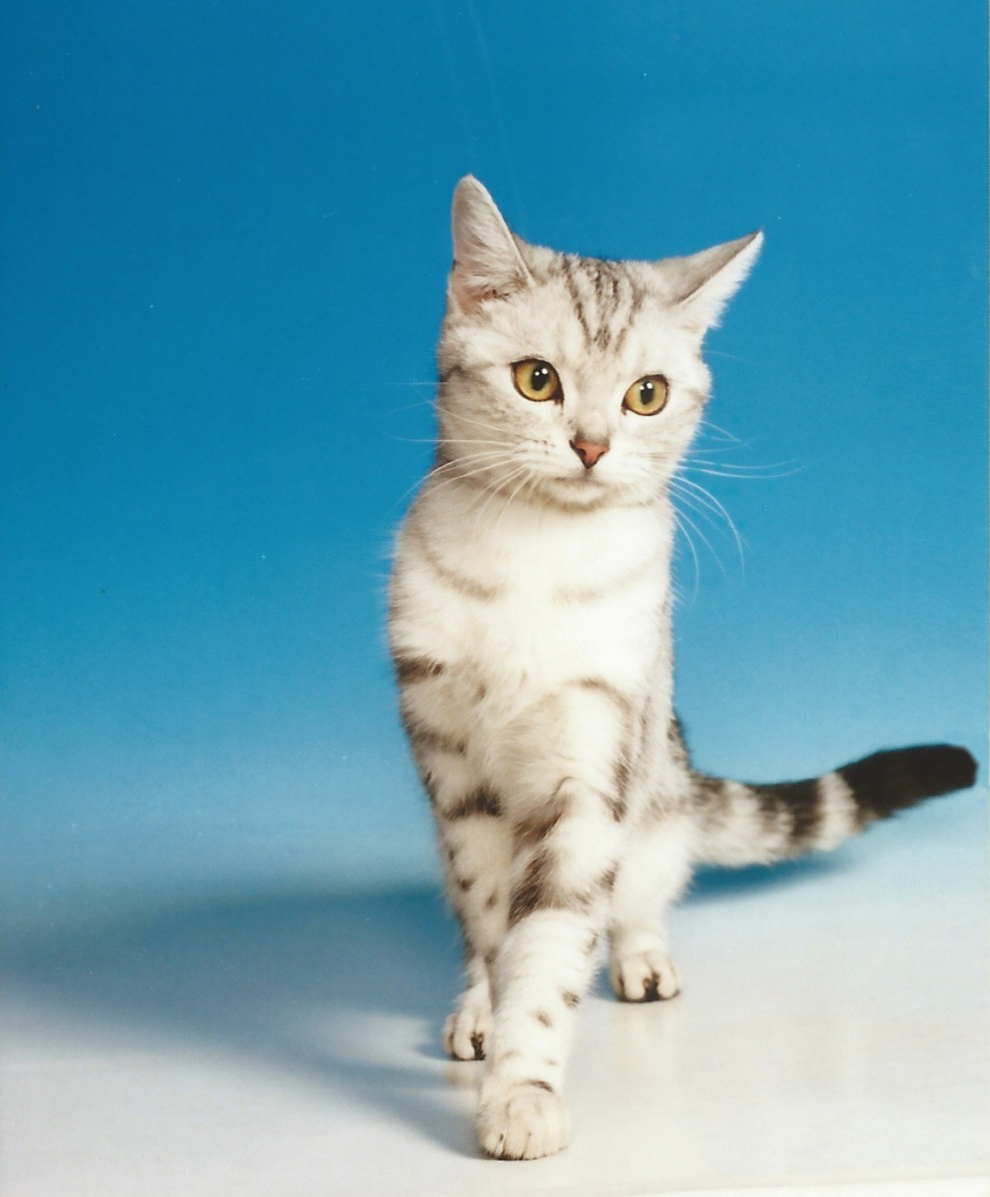 小野塚謙太👺『破 桜田門外の変と天狗党の乱』発売中 tweet media