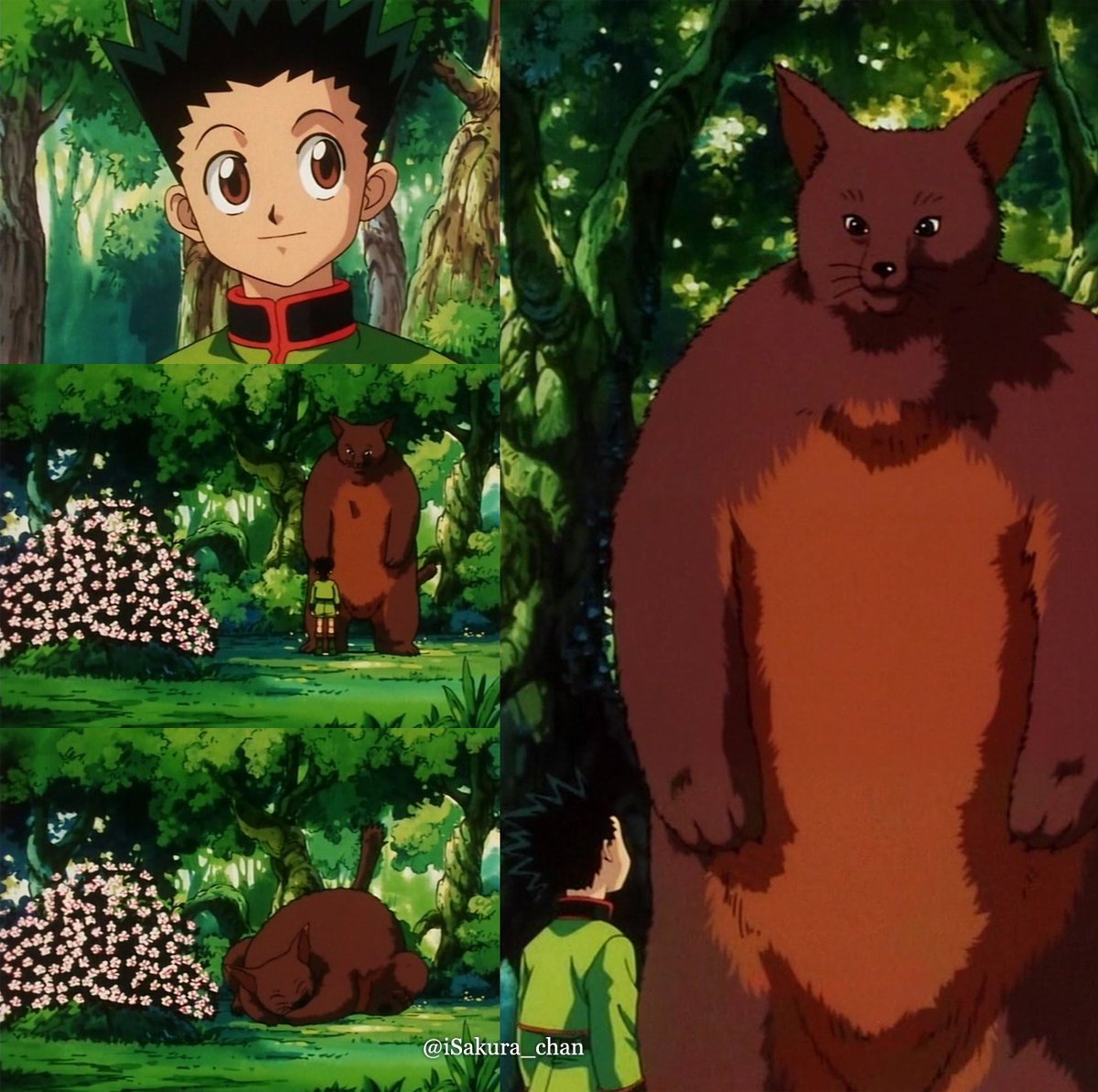 HUNTER×HUNTER / ゴンとコン太🌿🌺