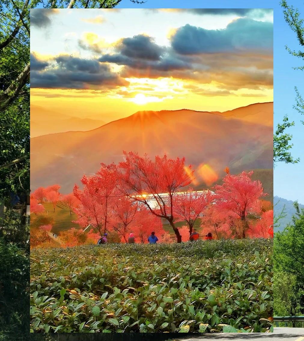 Ruben Muhammad tweet media