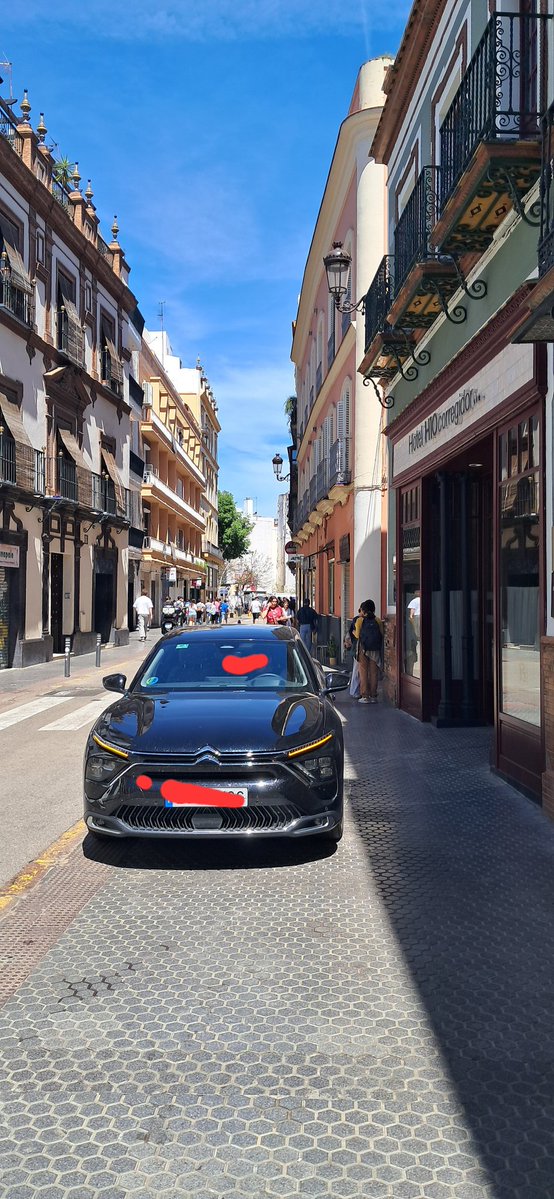 El día de la marmota
<a href="/acomosi/">Acomosi</a> <a href="/Ayto_Sevilla/">Ayuntamiento de Sevilla</a> <a href="/PoliciaLSevilla/">Policialocalsevilla</a> <a href="/DavidLp32705032/">David López</a> <a href="/SevillaSeMuere/">Sevilla💀 Se Muere</a> <a href="/ElCicerone_/">El Cicerone de Sevilla</a> <a href="/SrDelParaguas/">El señor del paraguas 🌂</a>