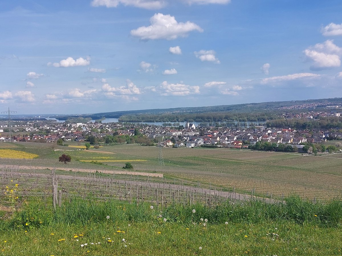 Christina Koch tweet media