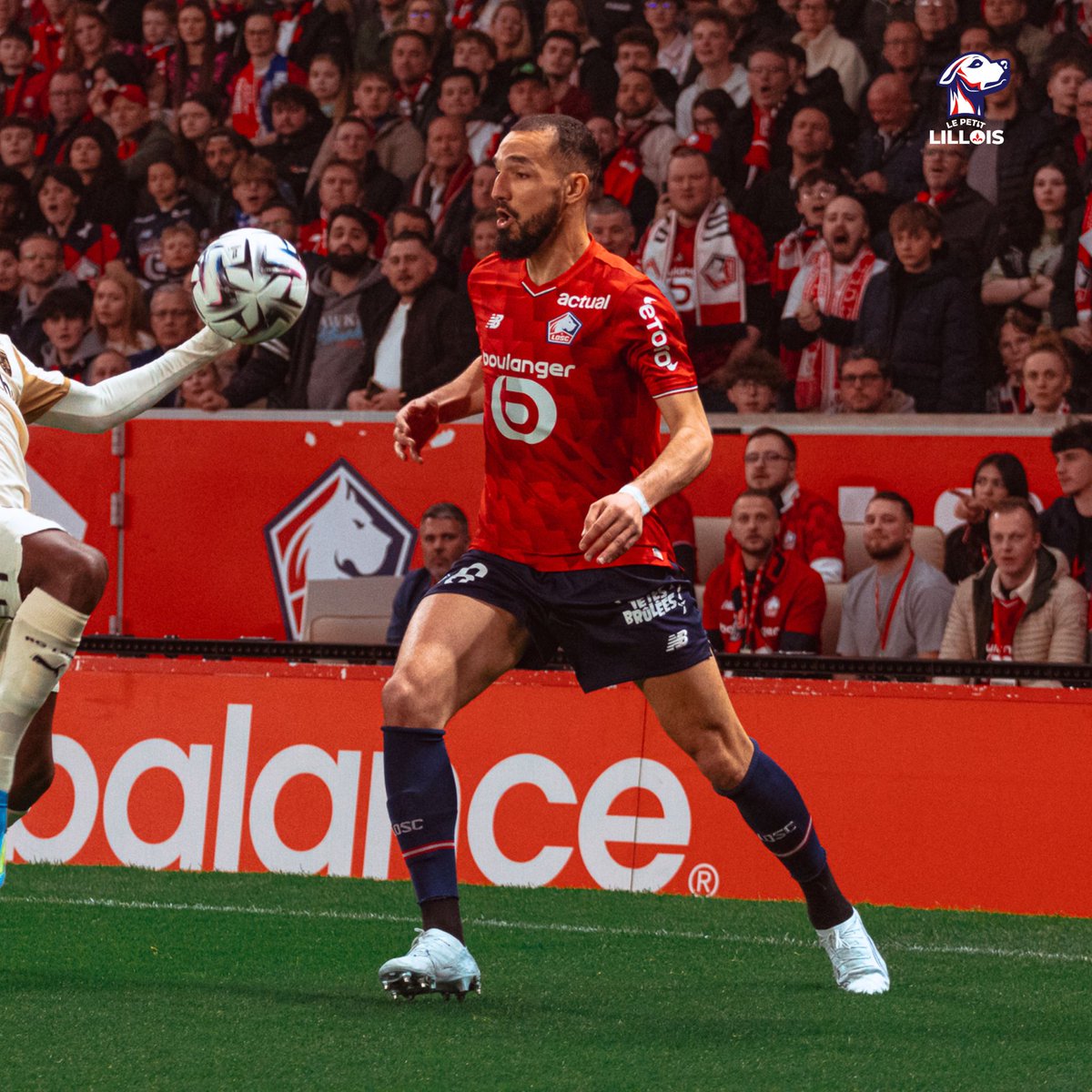 Le Petit Lillois ⚜️ tweet media