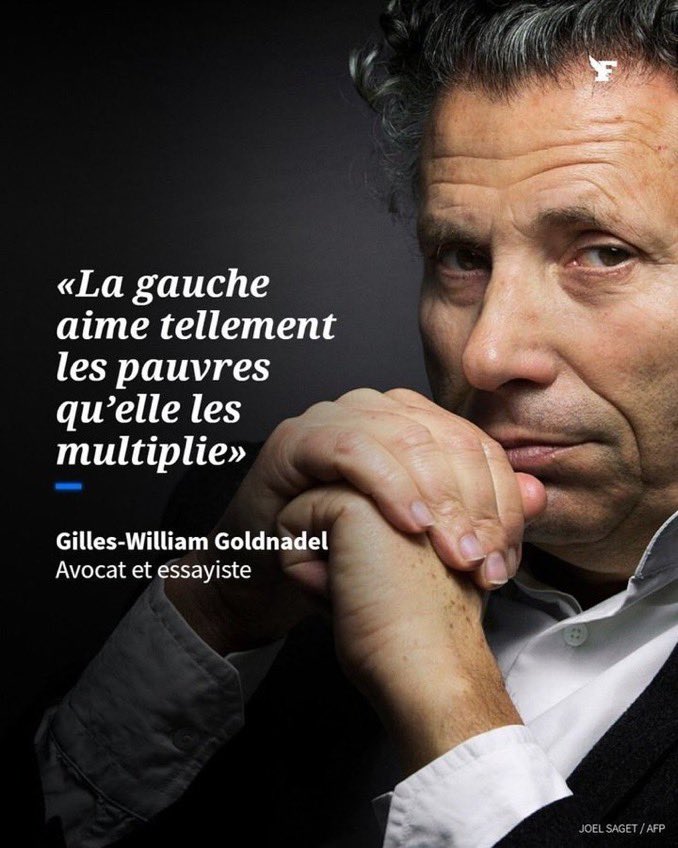 Wolf 🐺 tweet media