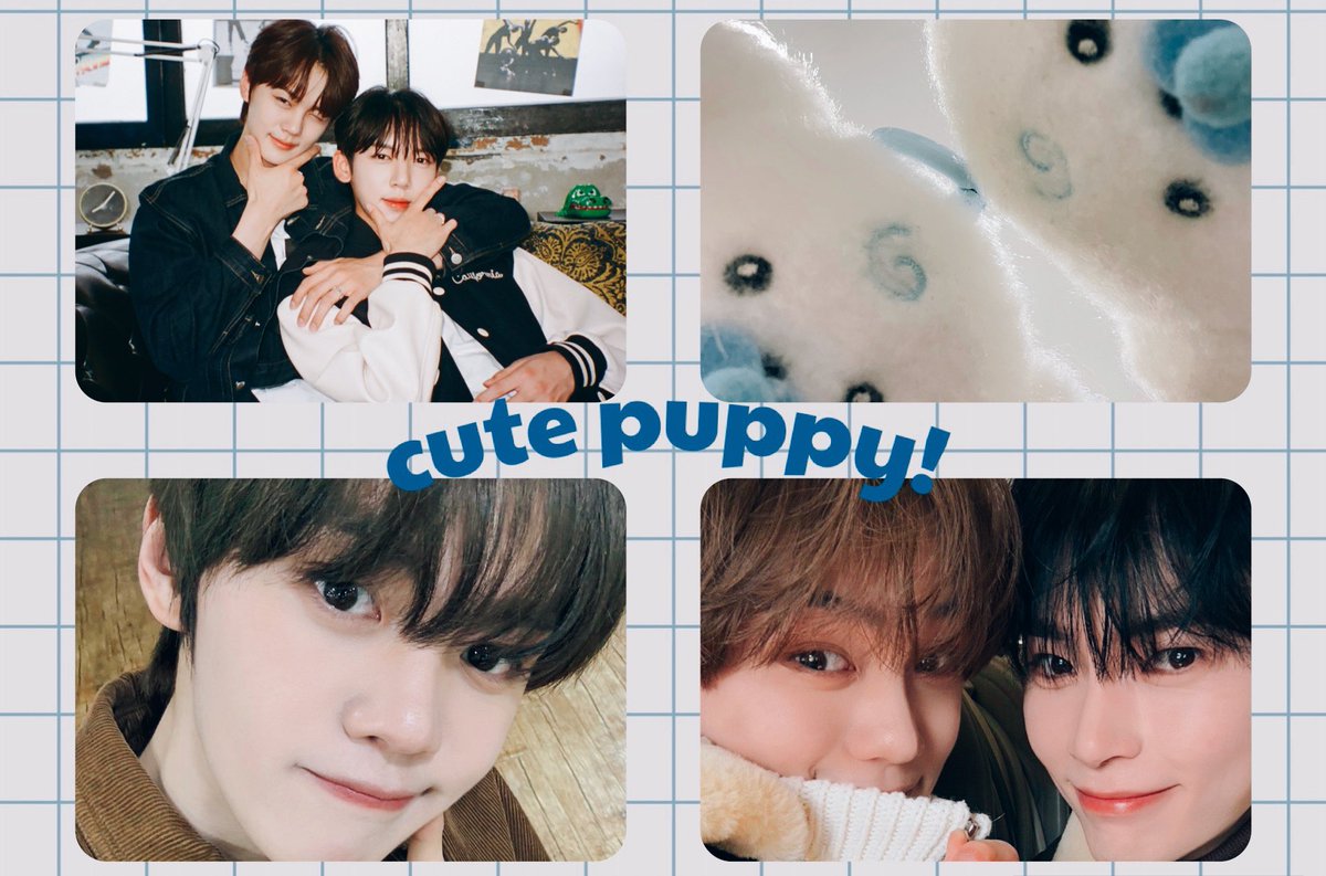 あぷ🐶🍑 tweet media