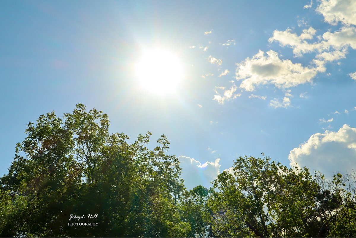 JosephHill3794's tweet image. Sunrise☀️☁️🌳
#April2026 
Photo By: Joseph Hill🙂📸☀️

#sunrise #bright #morning #daylight #sunlight #nature #trees #spring #beautiful #peaceful #sunrisephotography #NaturePhotography #SouthernPinesNC #April