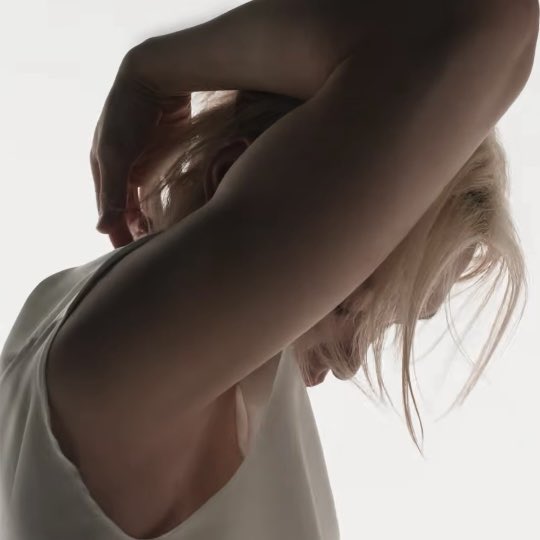 야옹뽁 tweet media