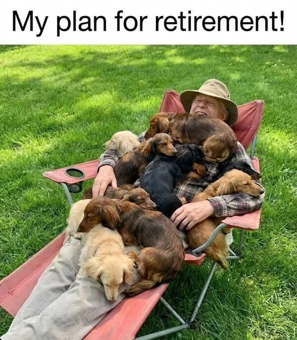 WholesomeMeme's tweet photo. https://t.co/RveUodohpX