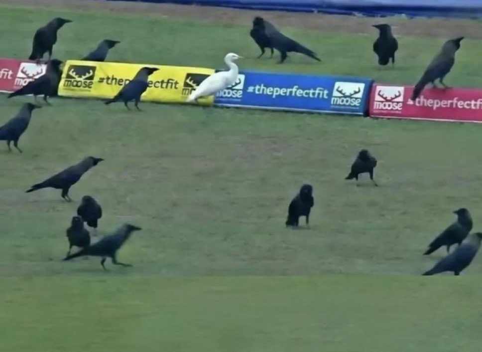 Amar💫 tweet media