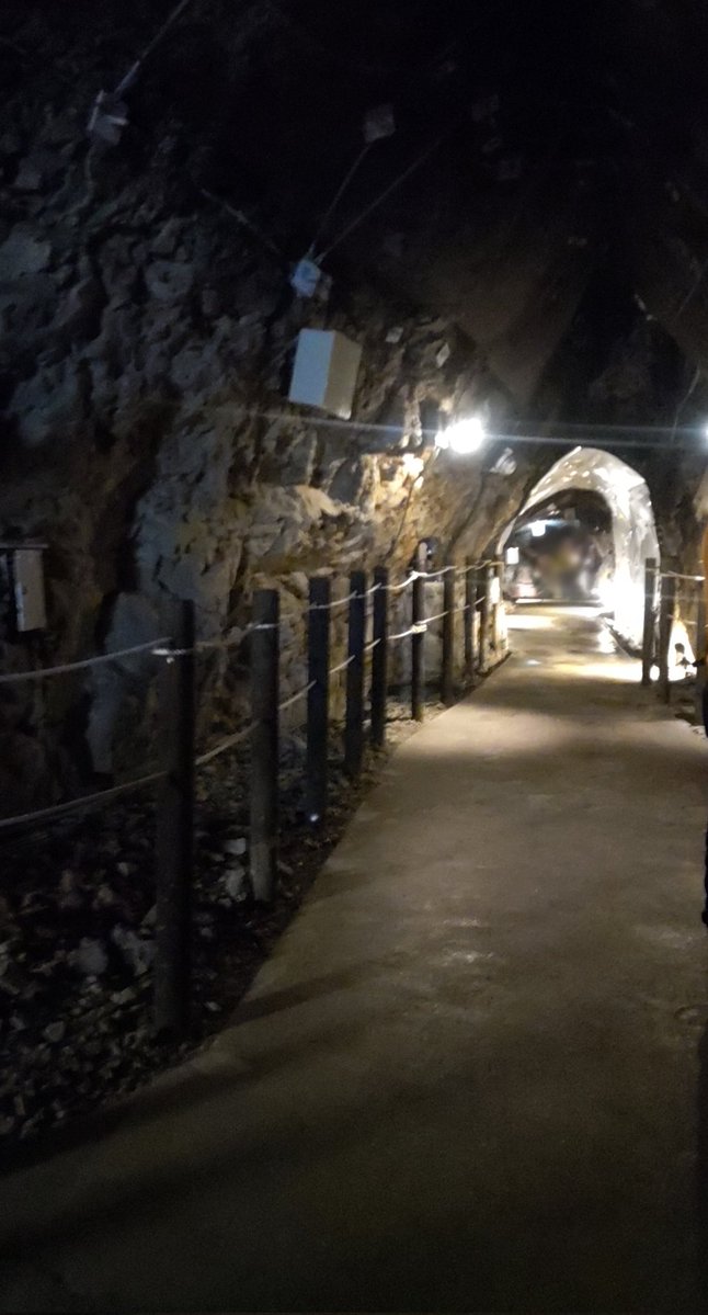 高橋茉里(たかはし みさと)🐑ぽんこ・みさＴ・ﾐｻｯﾃｨ tweet media