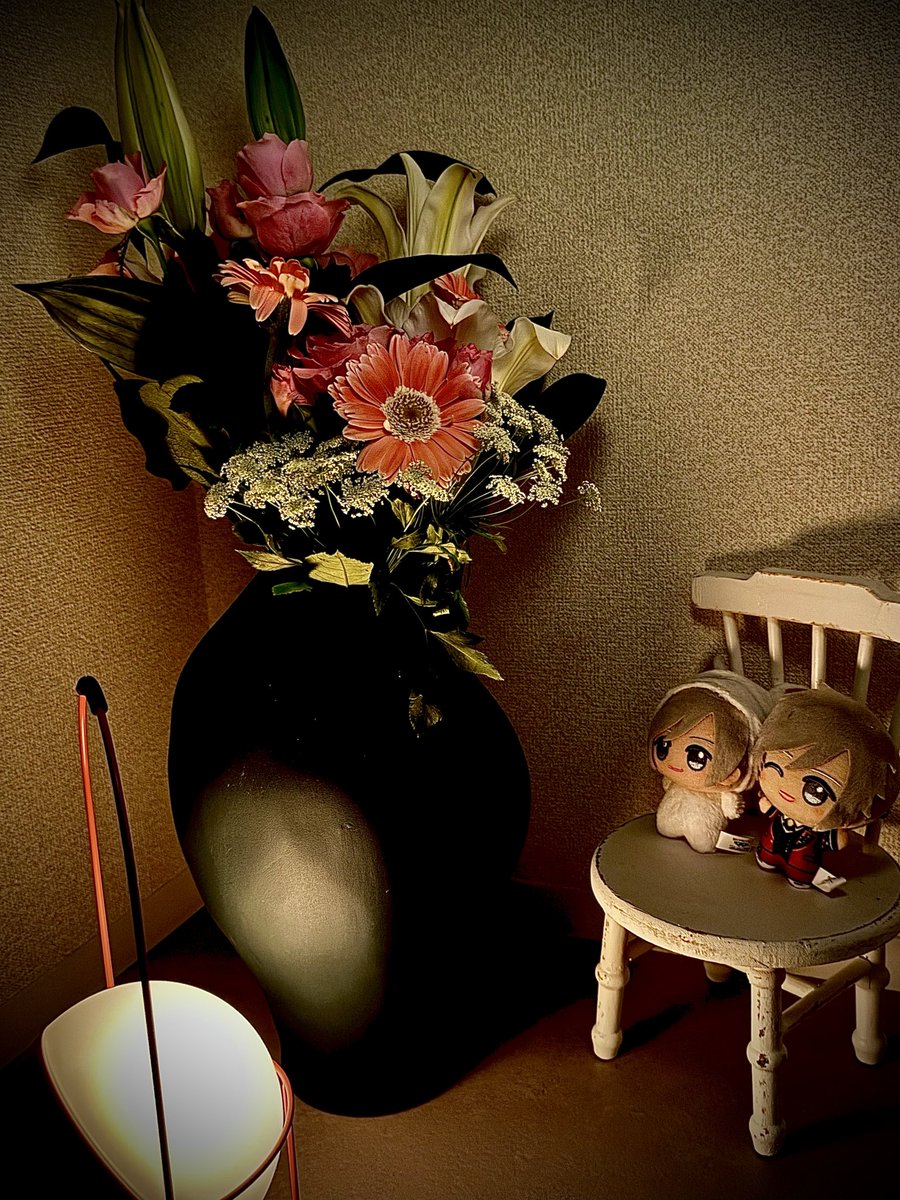 古谷 大和 tweet media