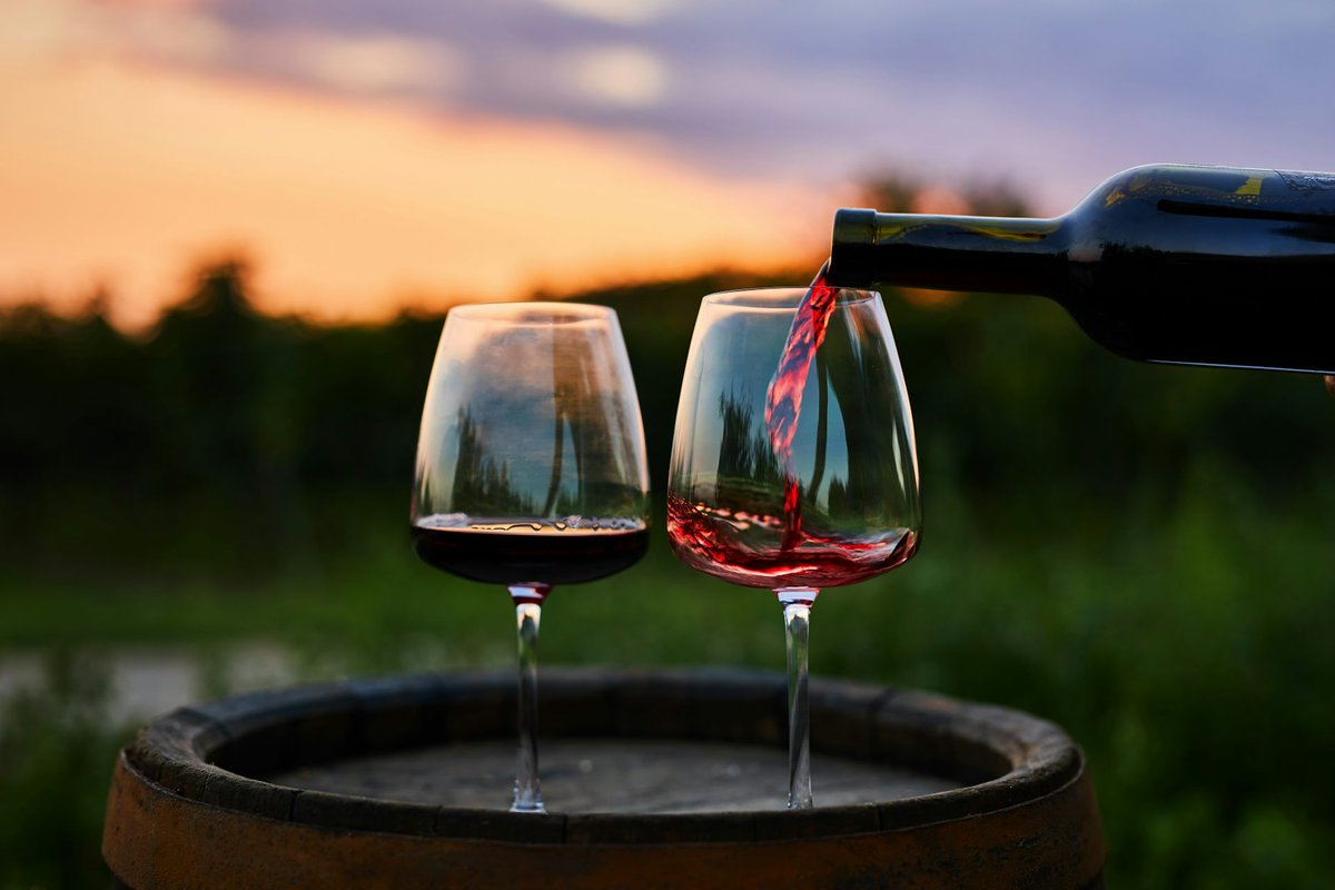 BiolegsCAT's tweet image. La catedràtica @GMarfanyN escriu a @LaConversa_TC 
➡️ Genètica forense per identificar els “pares” del cabernet sauvignon, el chardonnay i altres vins

🔗 f.mtr.cool/hjqqkfrafc
#genètica #biodiversitat #agricultura